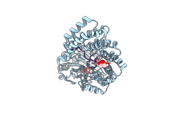7YB8 image