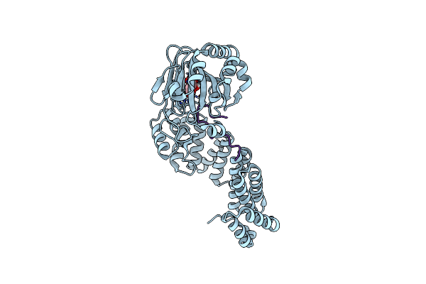 7YBB image