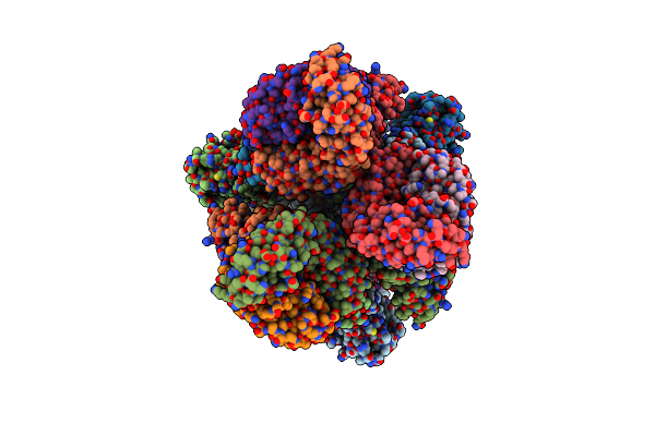 7YC5 image