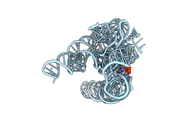 7YC8 image