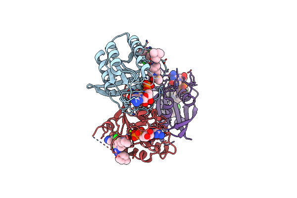 7YCC image