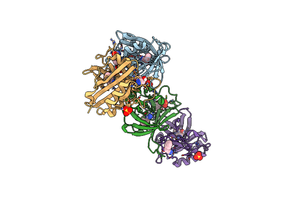 7YCD image