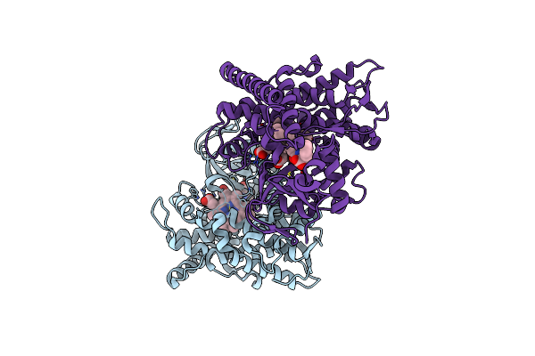 7YDB image