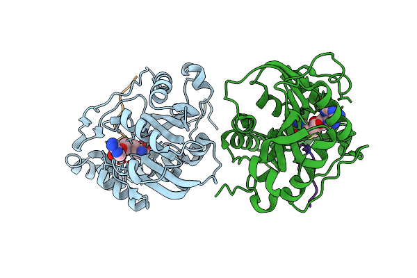 7YF2 image