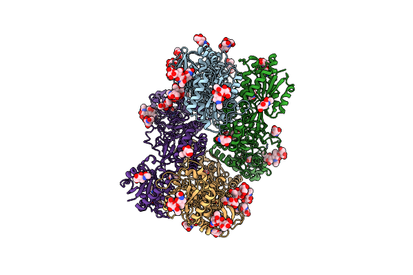 7YFH image