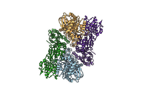 7YFO image