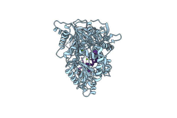 7YGN image