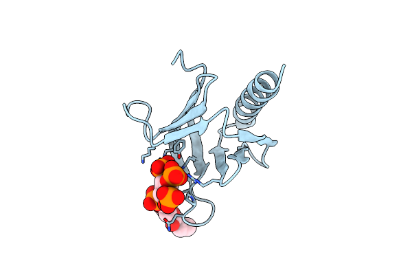7YIS image