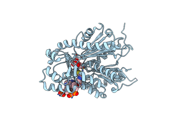 7YJB image