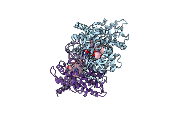 7YJD image