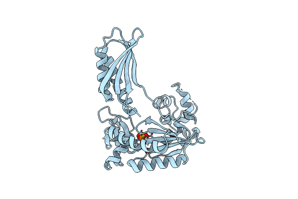 7YLL image