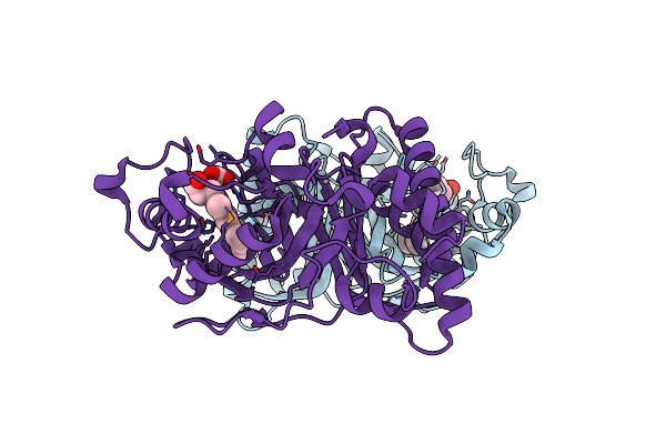 7YLO image