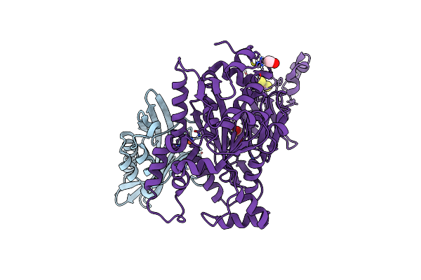 7YLS image