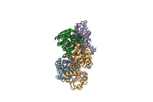 7YLT image