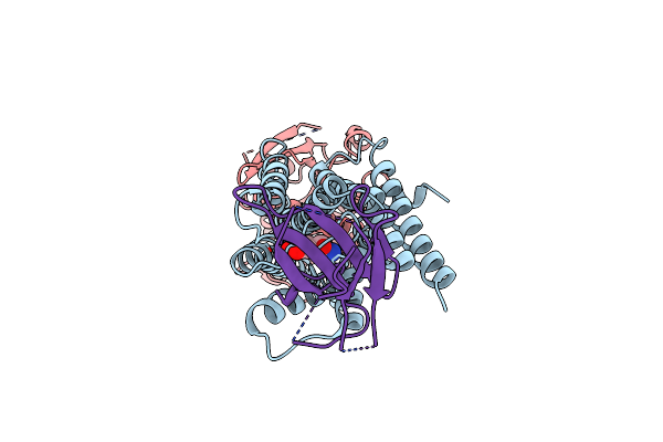 7YMH image