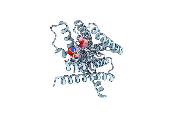 7YMJ image