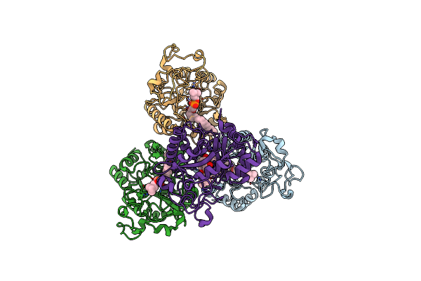7YMR image