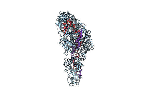 7YNB image