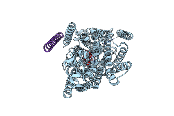 7YNJ image