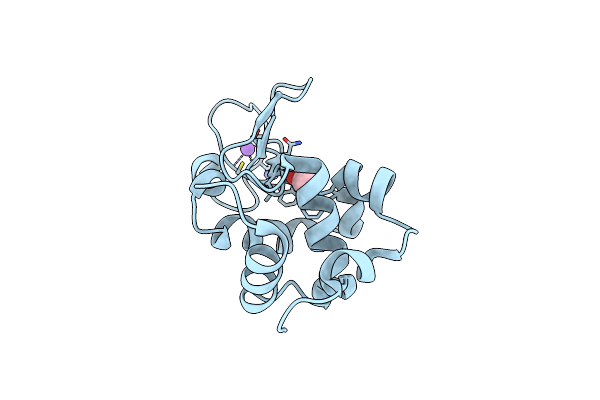 7YNV image