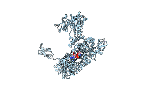 7YP8 image