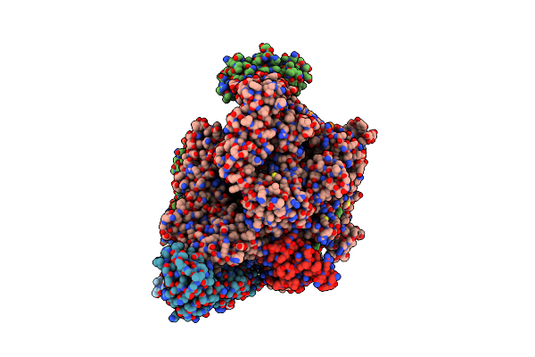 7YP9 image