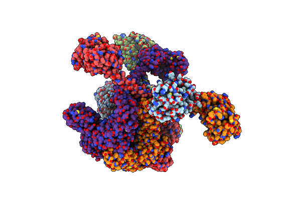 7YPH image