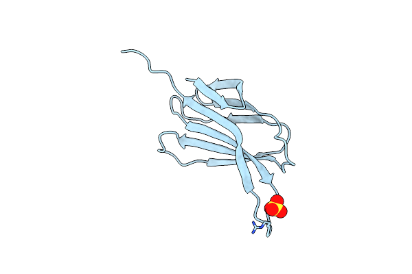 7YPL image