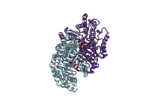 7YPN image