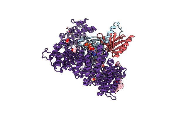7YPZ image