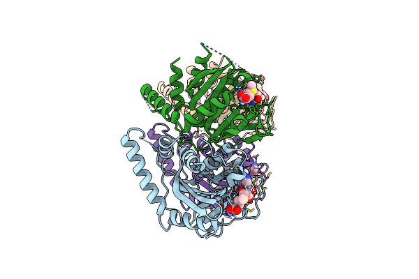 7YRI image