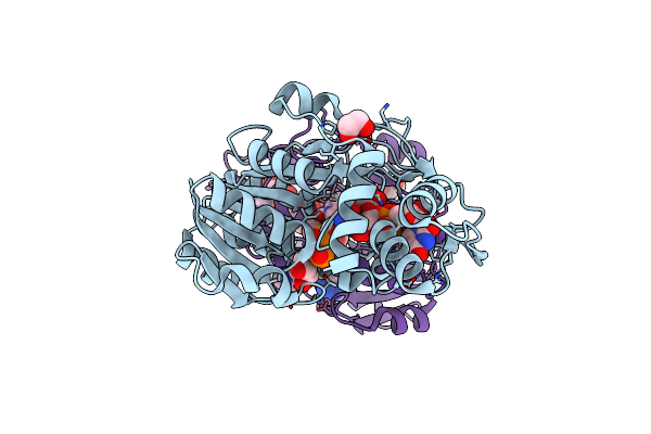 7YS9 image