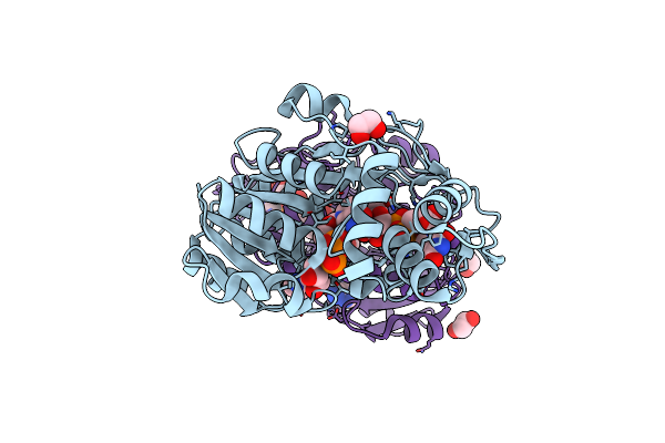 7YSA image