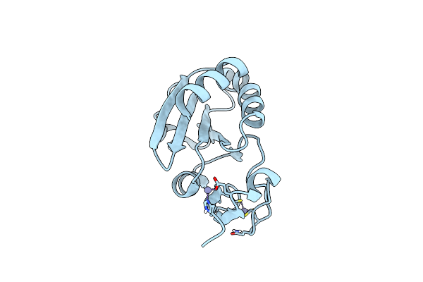 7YSI image