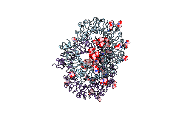 7YTX image