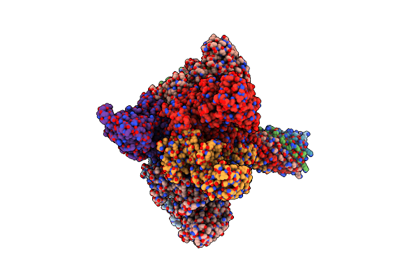 7YVS image