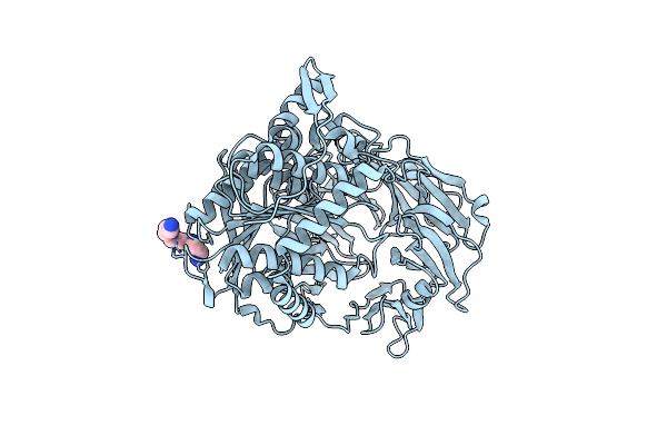 7YX7 image