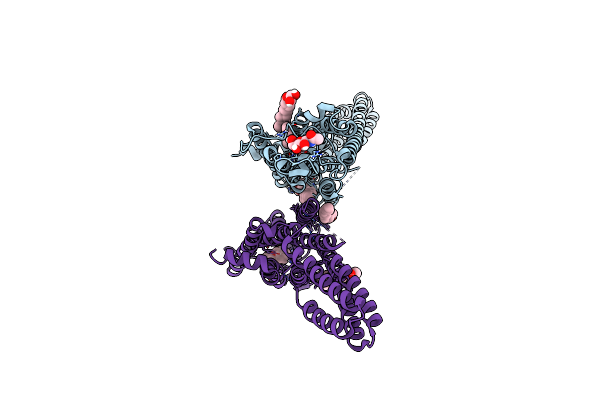 7YXA image