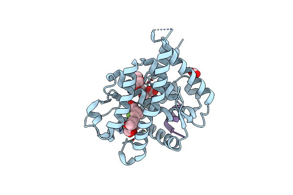 7YXC image