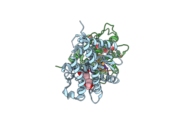 7YXR image