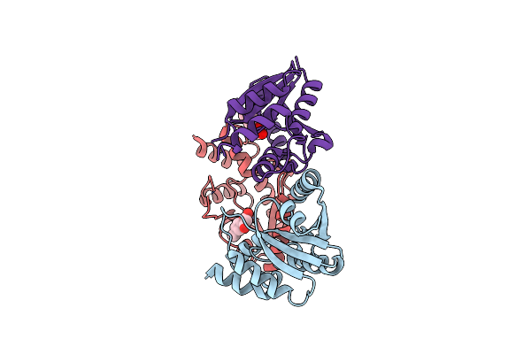 7YYB image