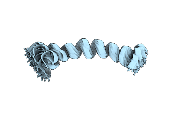 7YYI image