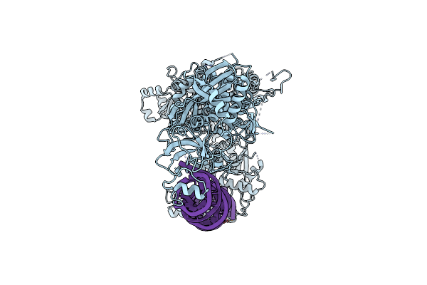7YYM image