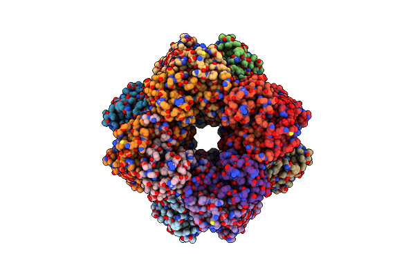 7YYO image