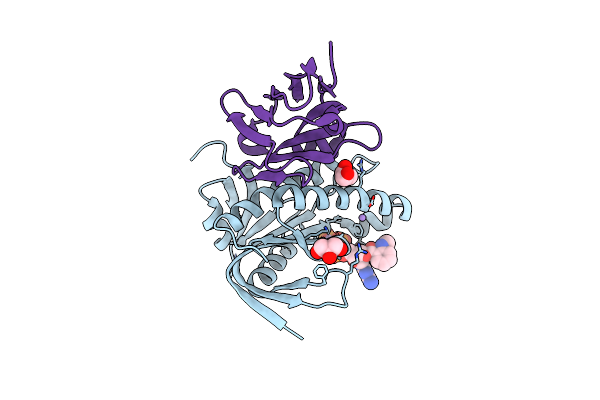 7YZ9 image
