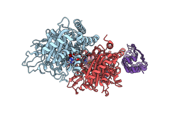 7Z02 image
