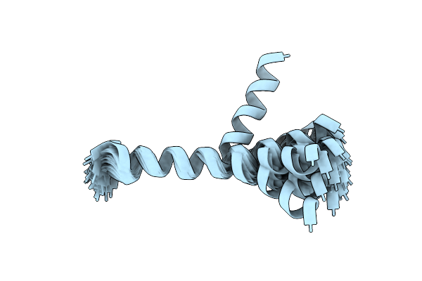 7Z07 image