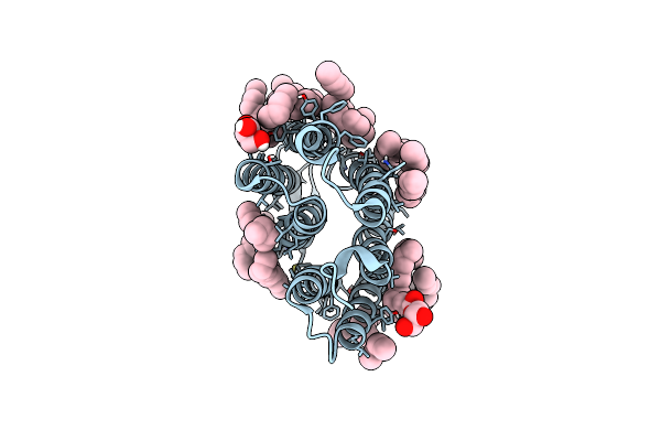 7Z0A image