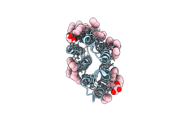 7Z0D image