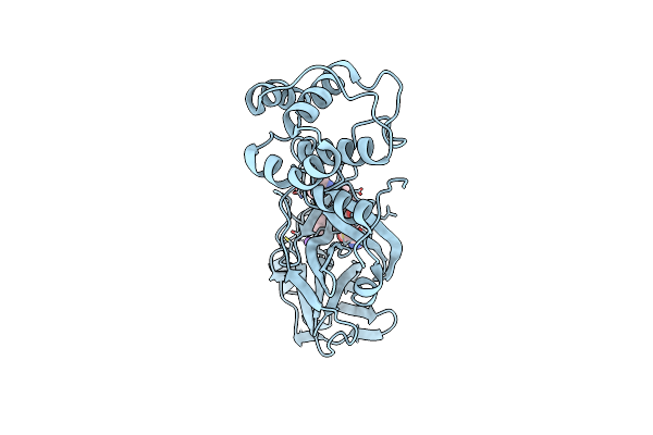 7Z0P image